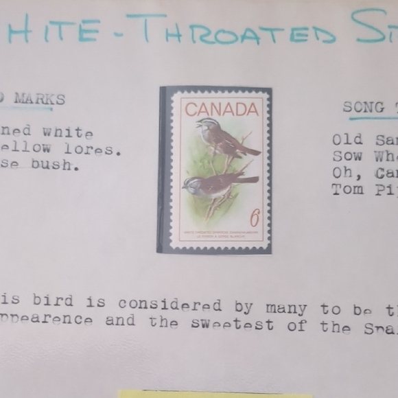 White Throated Sparrow Stamp Themed Scrapbook Page - Picture 2 of 3